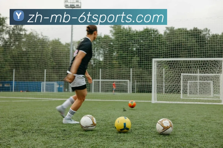 6T体育发展历程