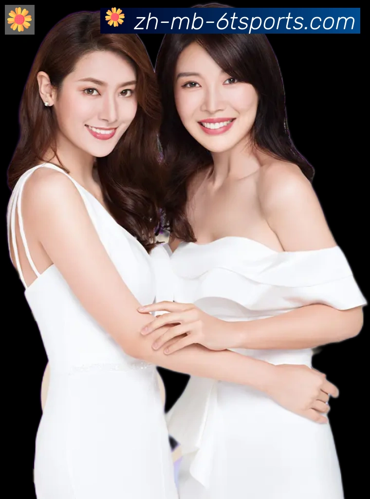 6t体育品牌故事